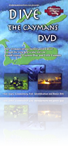 Dive Cayman